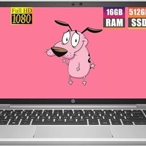 لپ تاپ استوک اچ پی HP Probook 445 G8 Ryzen 5-5600U 16G-512G 512MB 14.1" Full HD